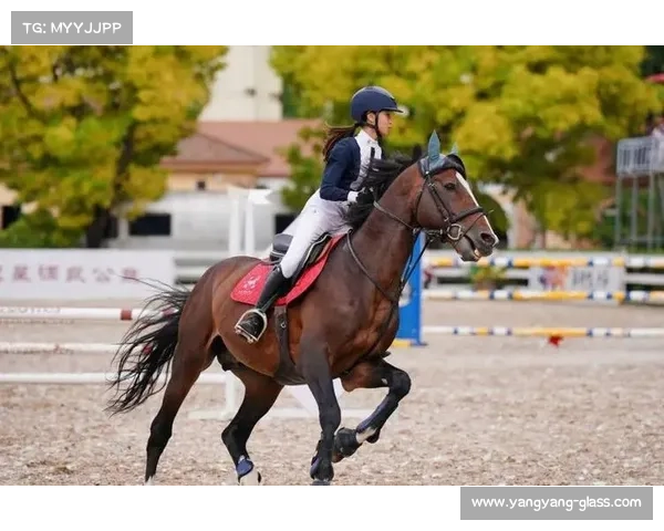 2018北京马术赛事;2018北京国际马术盛会骑士英姿竞技风采闪耀帝都盛典