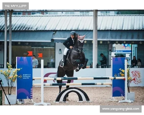 2017年马术赛事2017年国际马术大赛巅峰对决顶尖骑手荣耀竞技精彩瞬间全记录