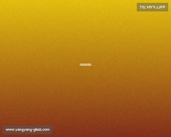 国外搏击教学视频