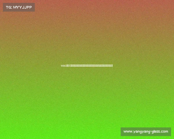 wac赛事(世界业余围棋锦标赛激情开幕全球业余棋手汇聚一堂切磋棋艺盛会)