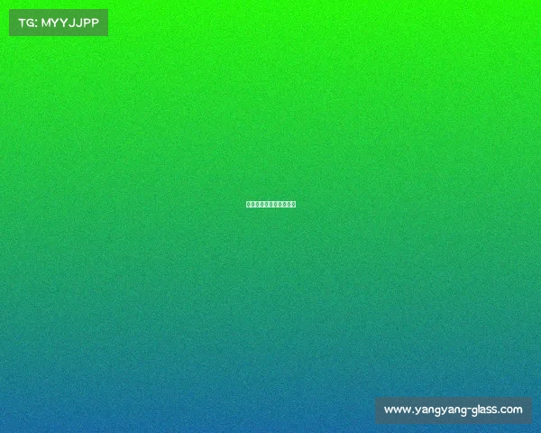 女排球赛事直播在线观看